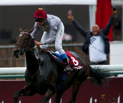 Treve shortly after crossing the line in the Arc