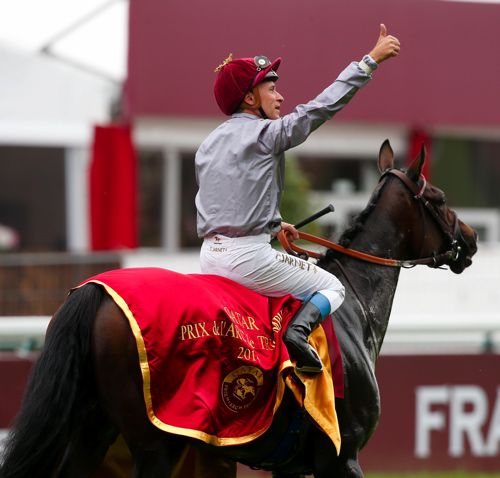 Treve