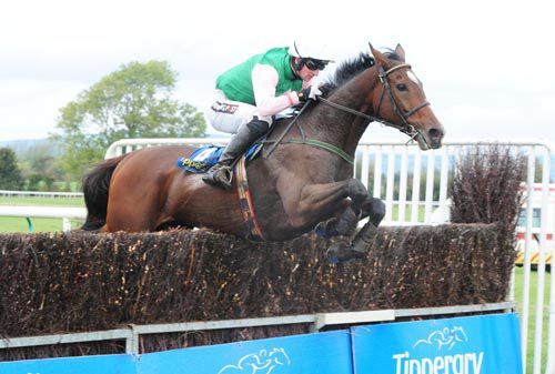 Perfect Gentleman and Patrick Mullins on the way to victory