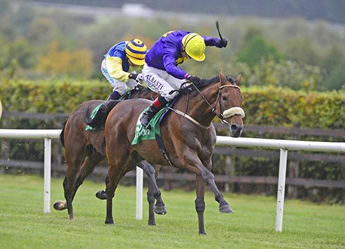 Silver Concorde beats Rightdownthemiddle