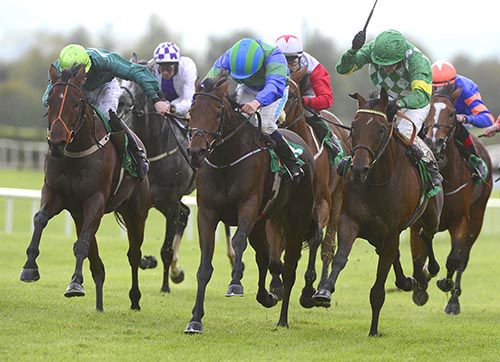 Rocky Bleier (right) gets up to collar Heart In The Air with Madeira Classic (left) 