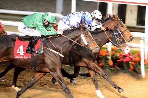 What a finish - Waterloo Sunrise (centre) beats Phils Wish (far-side) and Havelock Ellis (nearside)