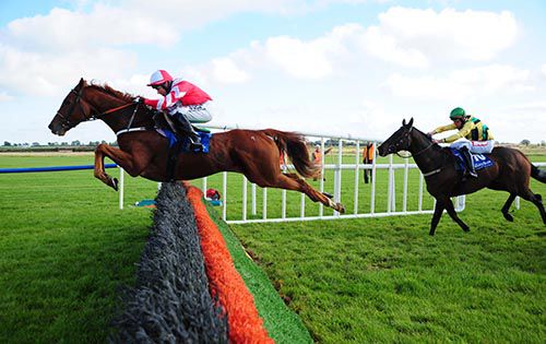 Sheamus and Mark Enright