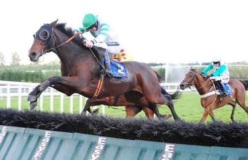 Sir Harry Cash puts in a good jump at the last in Limerick