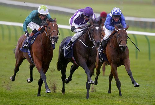 Aloft (centre) a likely runner