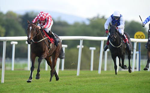 Bon Chic (David Mullins) stays on well to win the bumper