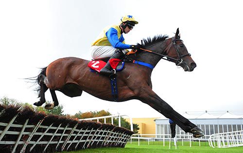 Little King Robin and Mark Walsh