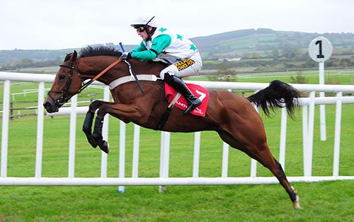 A fine leap by Buster Dan Dan 