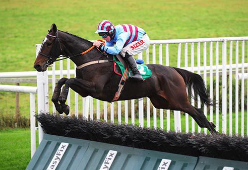 Ultra Light jumps a hurdle on her way to victory under Andrew Lynch