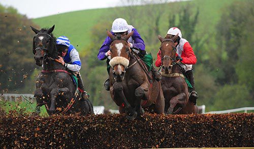 Luddsdenene (noseband) jumps a fence on his way to victory under Davy Russell