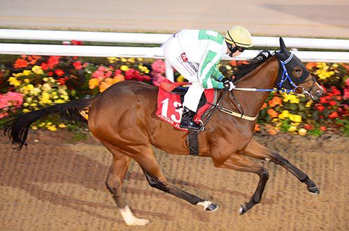 Sparklingsovereign comes home an easy winner under Leigh Roche