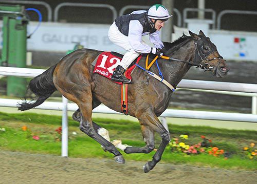 Minot Street comes home in front under Shane Foley