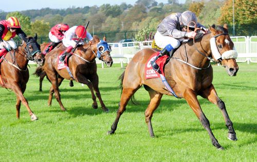 Bubbly Bellini and Declan McDonogh come home in front