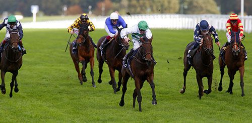 Madame Chiang (Jim Crowley, centre) scores at Ascot