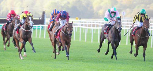 Sarah Joyce (nearside) just held Oiche Mhaith Boy (far right), Magic Of Christmas and Nusution are in between