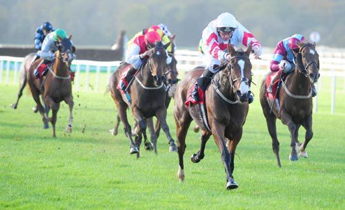 Laviniad asserts under John Egan at Cork