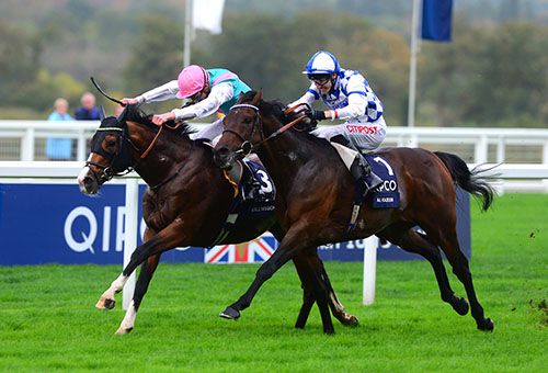 Noble Mission, left, beating Al Kazeem in the Champion Stakes at Ascot