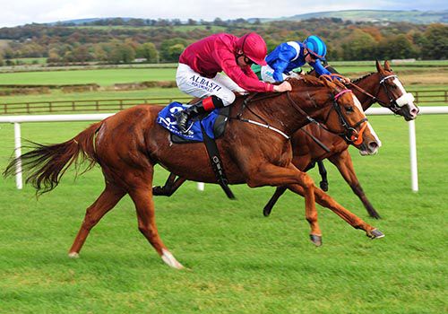 Byzantium and Pat Smullen (nearest) just get the better of Sharaasa and Chris Hayes