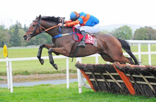 Talk The Lingo jumps the last on his way to victory under Barry Cash
