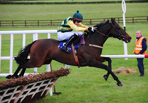 Mill Forge clears the last under Danny Benson