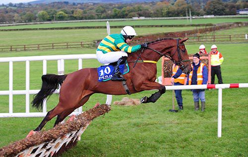 Harvey Logan jumps a hurdle on his way to victory under Niall Madden