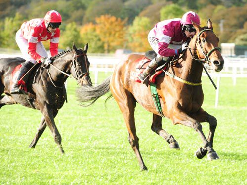 Ice Cold Soul and Nina Carberry see off the challenge of Akito in the bumper at Cork 