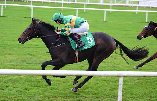 Harold Peto and Billy Lee come home in style in Navan's fourth