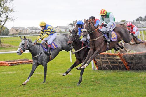 Royal Chief (farside), The Bold Beckey and Taken Twice (nearest) jump the last together 