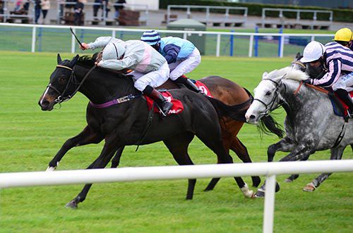 Clondaw Warrior wins a bit pot in Leopardstown