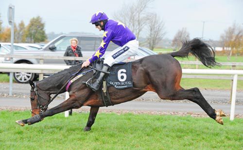 Morning Run survives this last flight blunder before going on to score under Ruby Walsh