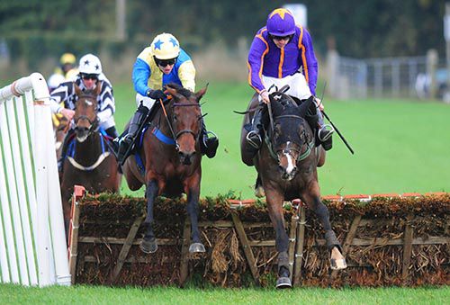 Little King Robin (left) and Arctic Fire jump the last