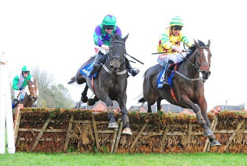 Glenquest (left) and Never Said That jump the last together 