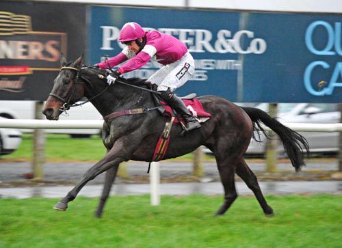 Valerian Bridge is ridden out by Patrick Mullins