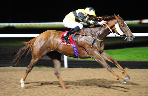 Pelerin is ridden out by Martin Harley