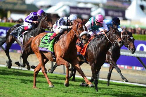 Main Sequence (nearest) winning Breeders' Cup Turf 