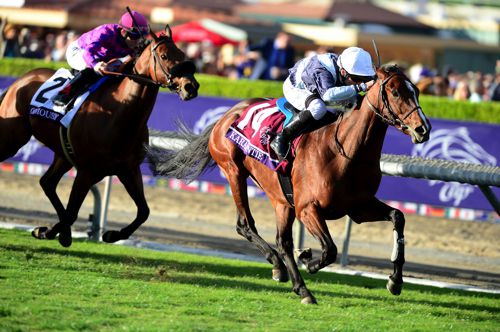 Karakontie (Stephane Pasquier) strides out to win the Breeders Cup Mile