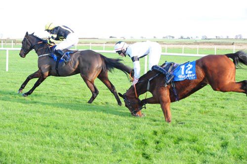 Snapchat (Katie O'Farrell) is left clear as LIndas Choice & Ricky Doyle part company - both okay after the incident