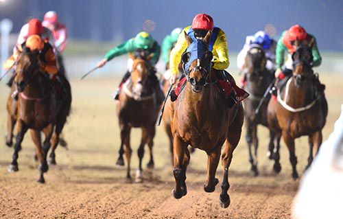 Ask Dad and Rory Cleary 