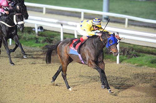 Rose Angel and Robbie Downey