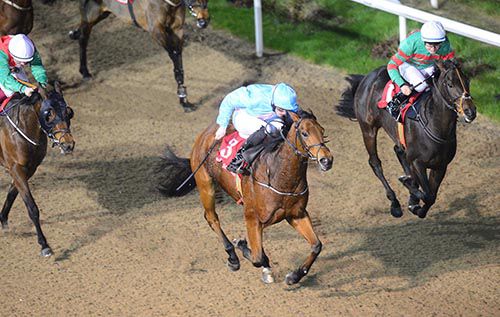 Whip Up A Frenzy (Billy Lee) beats Private Party and Rest Assured