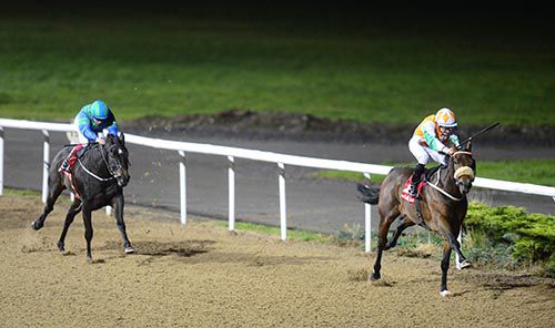 Camakasi and Shane Foley leave Witty Repartee and Chris Hayes in their wake