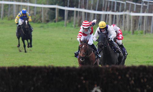 Mrs Mac Veale and Andrew McNamara make the best of their way home from Solita and co