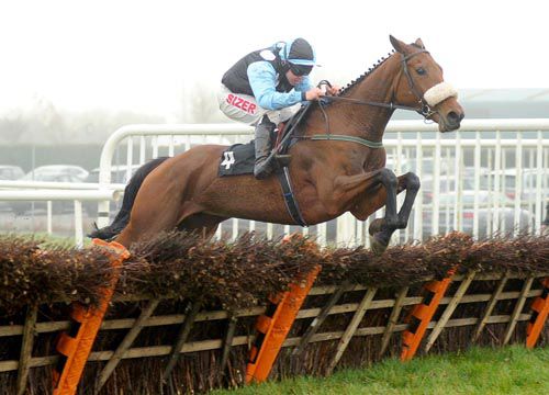 Annamatopoeia (Andrew Lynch) is clear at the last