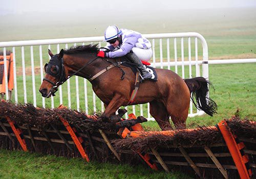 Western Promise and Kevin Sexton clear the last