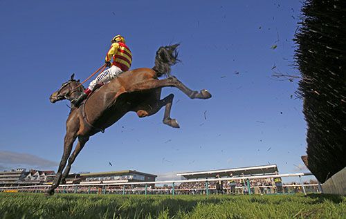 Foxhunters aim for Pendleton