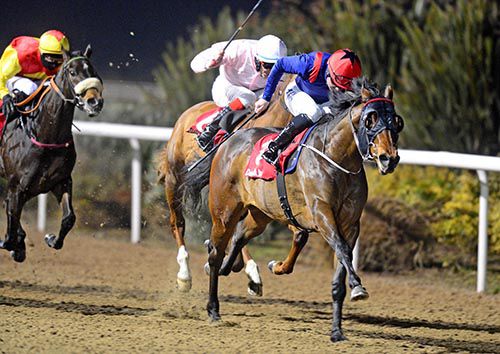 Indian Tomahawk stretches out well for Fergal Lynch as Sgt Rock and Jacobs Well chase in vain