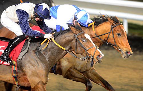 Noverre Princess and Declan McDonogh hold on from Anner Queen and Tom Madden