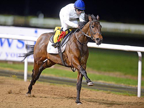 Gordon Lord Byron - seen here working at Dundalk last Friday night