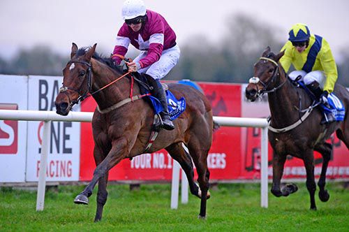 Davy Roche brings Identify Thief home in front of Tully East and Finny Maguire