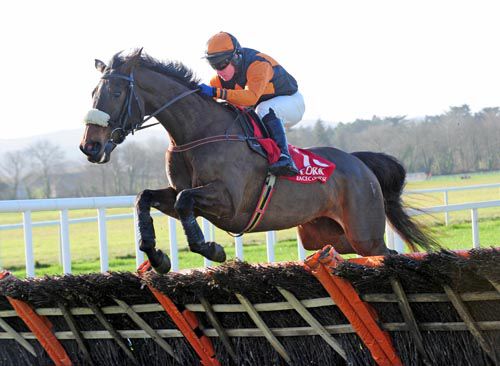 Montys Meadow jumps the last under Paddy Mangan